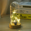 Mini Christmas tree glass cover with warm ambient glow for holiday decor
