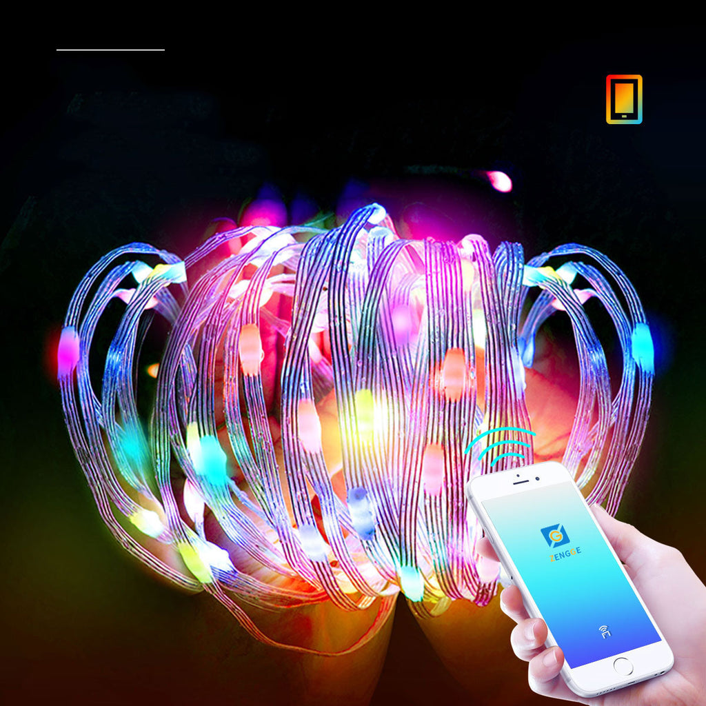 Bluetooth-enabled Christmas lights with remote control option
