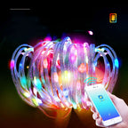 Bluetooth-enabled Christmas lights with remote control option