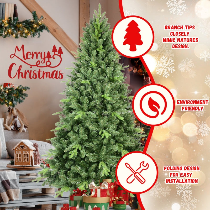 Beautiful evergreen Christmas tree for family holiday traditions