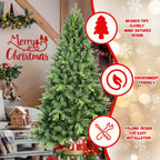 Beautiful evergreen Christmas tree for family holiday traditions