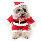 Family Christmas photo pet costume in traditional Santa red fleece