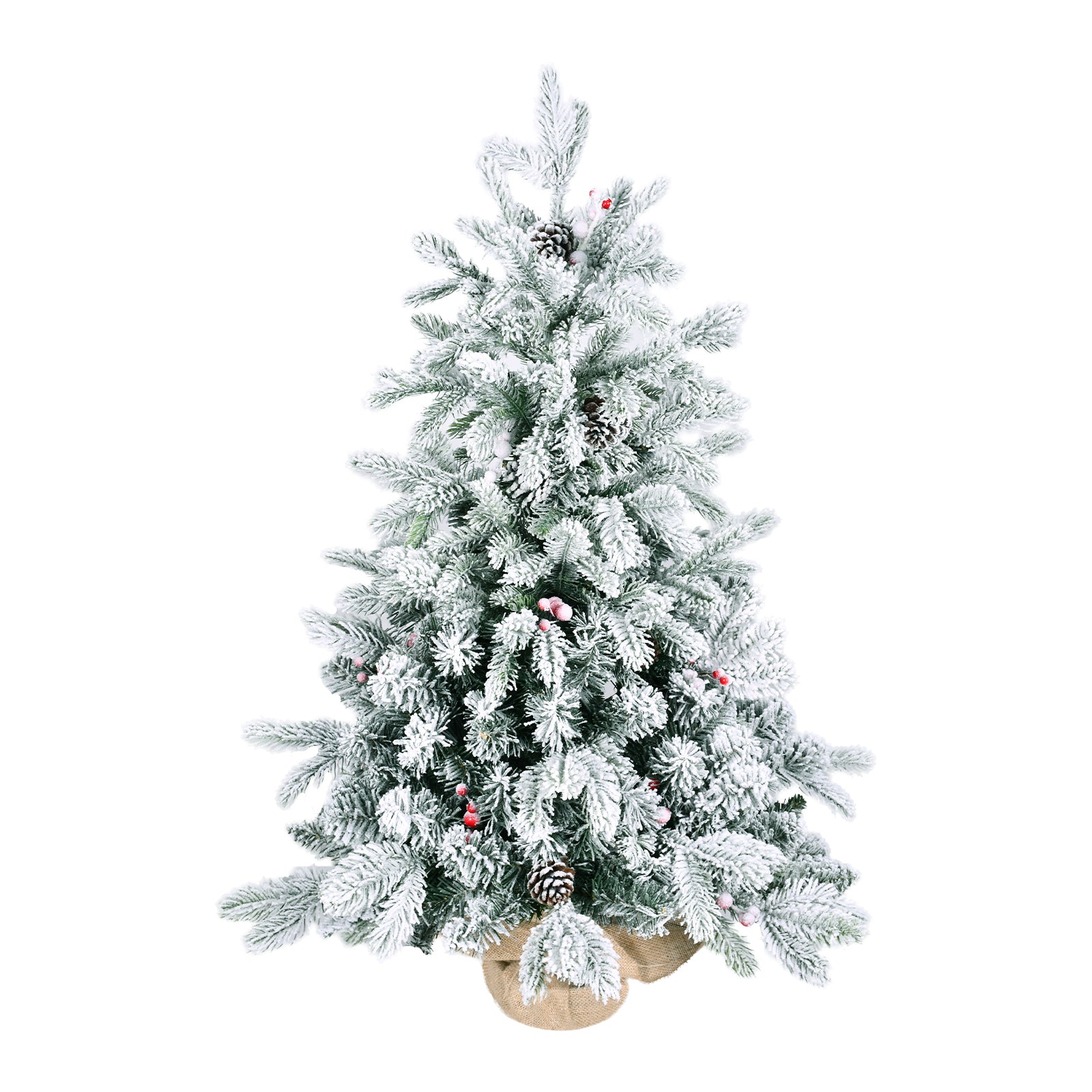 Christmas tree with 355 tips showing full branch density