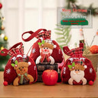 Santa Christmas Candy Bag for Holiday Celebrations
