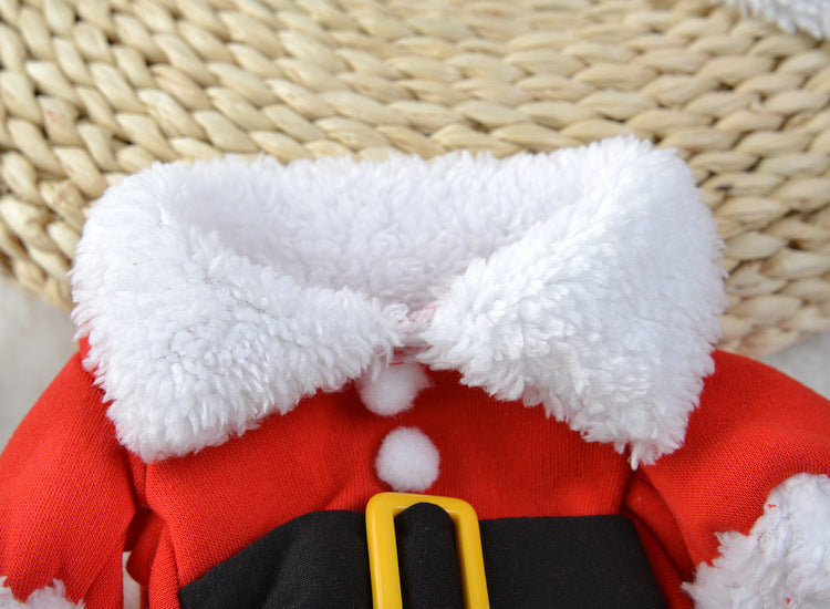 Festive Santa dog outfit with standing design for Christmas celebrations