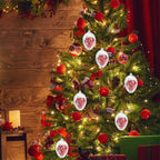 Filled transparent Christmas ornament balls on a decorated tree branch