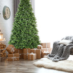Full green holiday tree with abundant branch tips for decorating traditions
