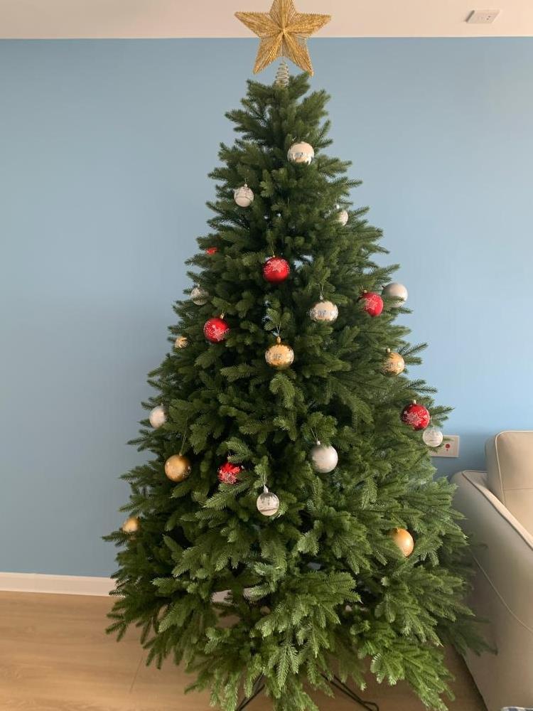Minimalist green Christmas tree for Christian home seasonal display