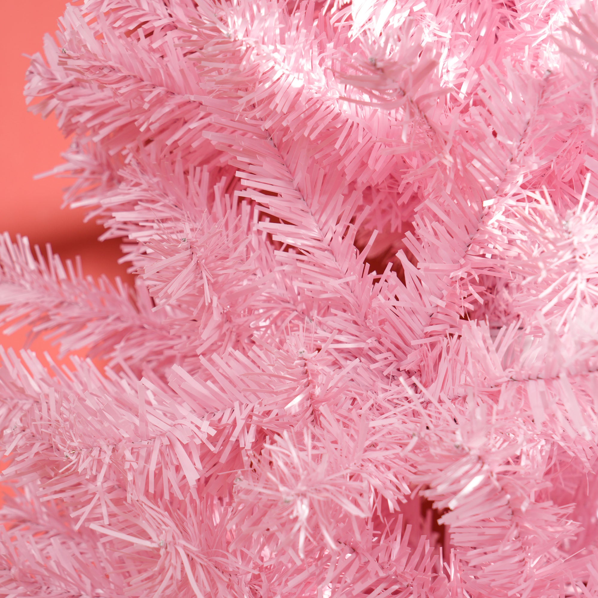 Pink Douglas Fir Pencil Christmas Tree