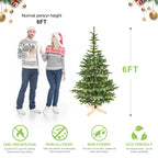 Green Christmas tree with full branches ready for decoration