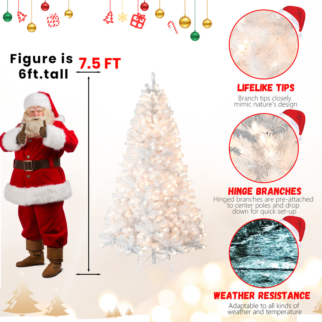 White evergreen branches of Christmas tree with soft lighting