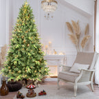 Illuminated Christmas tree casting warm glow in evening home setting