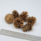 Set of six pine cone pendants arranged in OPP bag packaging for retail display