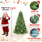 Christmas tree with sturdy branches for ornaments and star topper