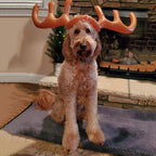 Playful Christmas inflatable prop for teen holiday fun