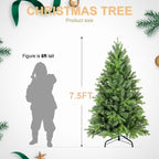 Green Christmas tree product view for Christmas decoration