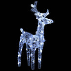 Outdoor Christmas decoration featuring two reindeer and sleigh in glowing display