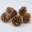 Gold and silver pine cone pendant set displayed together on rustic surface with pine branches for Christmas decor