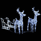 LED Christmas decoration with dynamic lighting effects in garden