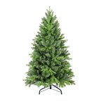Full green Christmas tree in festive setting for seasonal decoration